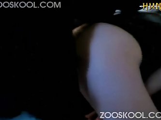 Girl Dog Fuck Compilation