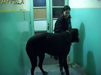 Youtube Dog Fuck Girl