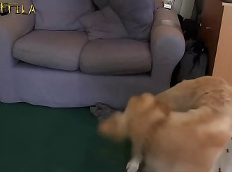 Dog Fuck Pussy Woman