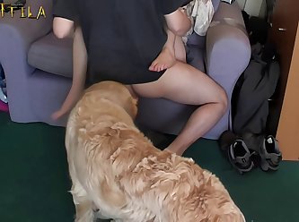 Dog Fuck Pussy Woman