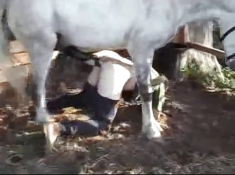 Dog Fuck In Mouth