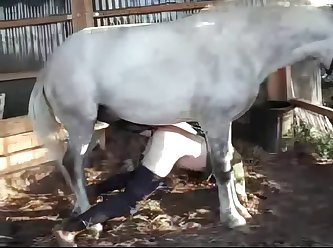 Dog Fuck In Mouth