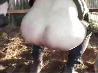 Dog Fuck In Mouth