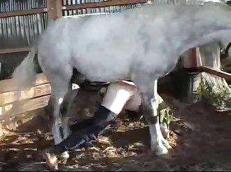Dog Fuck In Mouth