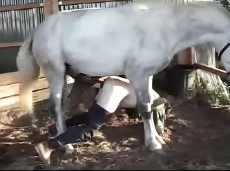Dog Fuck In Mouth