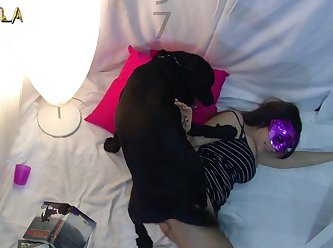 A Dog Fuck My Wife