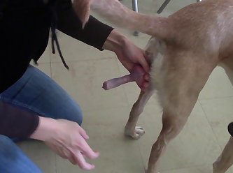 Xxx My Dog Fuck Me