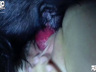 Caught Wife Fuck Dog