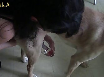 Tiktok Fuck Dog
