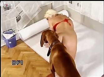 Allison Fuck Dog