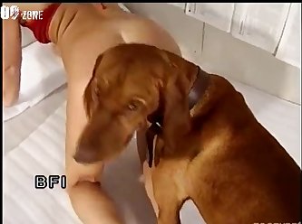 Allison Fuck Dog