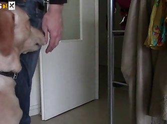The Record Dog Fuck
