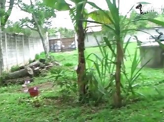 Dog Fuck Their Owner
