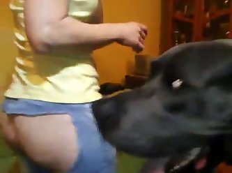 Wife Begs Dog To Fuck Her