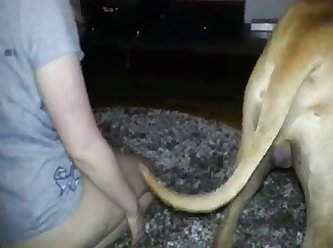 Big Dog Fuck Black Girl