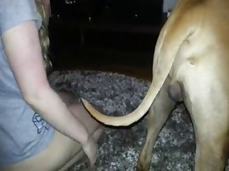 Big Dog Fuck Black Girl