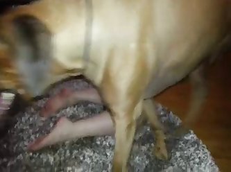 Big Dog Fuck Black Girl