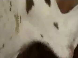 Dog Fuck Tsunade