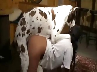 Dog Fuck Tsunade