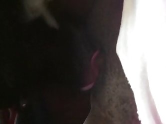 Blackmailed To Fuck Dog