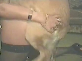 Ruff Stuff Dog Fuck