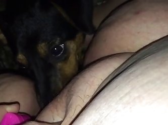 Husband Helps Wife Fuck The Dog