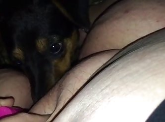 Husband Helps Wife Fuck The Dog