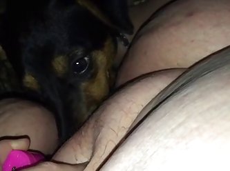 Husband Helps Wife Fuck The Dog