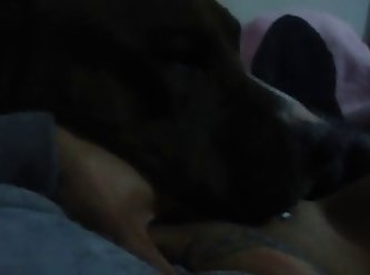 Girl Fuck Dog Hard