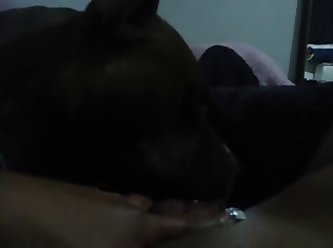 Girl Fuck Dog Hard