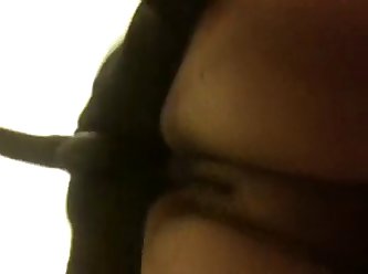 Would You Let A Dog Fuck You