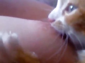 Wife Fuck Dog Tumblr