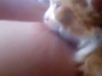 Wife Fuck Dog Tumblr