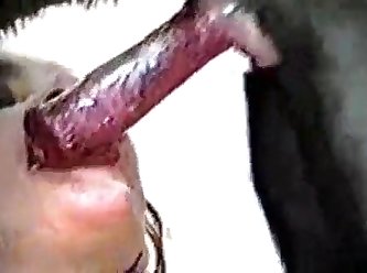 Curious Teen Dog Fuck