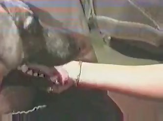 Real Amatuer Dog Fuck