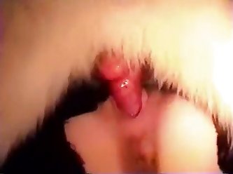 Girl Fuck Guy And Dog