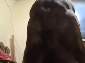 Snoop Dog Fuck