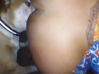 Listen To Blink 182 I Wanna Fuck A Dog In The Ass