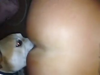 Listen To Blink 182 I Wanna Fuck A Dog In The Ass
