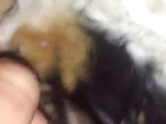 Human Dog Fuck