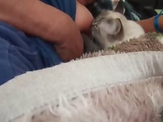 Amateur Dog Fuck Wife