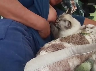 Amateur Dog Fuck Wife