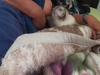 Amateur Dog Fuck Wife