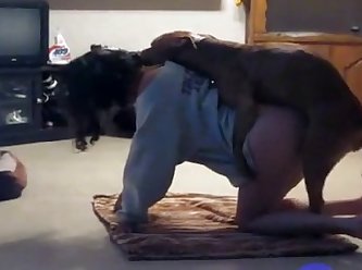 Mom Son Fuck Dog