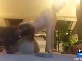 Accidental Dog Fuck