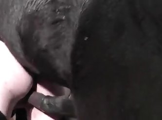 Mariana Dog Fuck