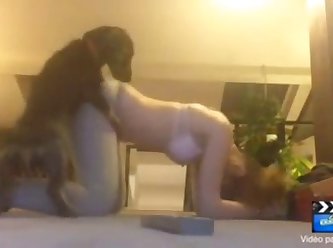 Accidental Dog Fuck