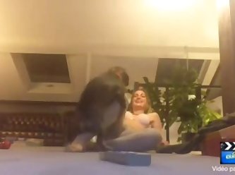 Accidental Dog Fuck