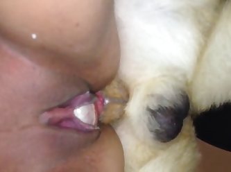 Dog Fuck Wife Sex