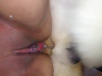 Dog Fuck Wife Sex